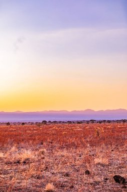 sunset at etosha national park namibia clipart