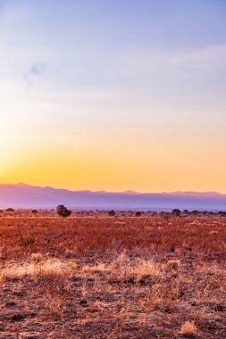Günbatımında Afrika savanasının güzel manzarası