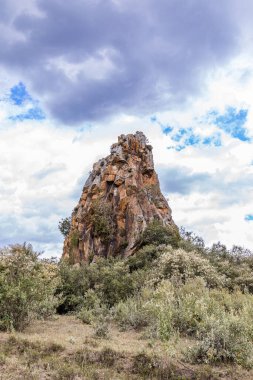 Mavi gökyüzünün altındaki ağaçlarla çevrili büyük bir kayanın dikey görüntüsü.