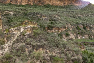 Kenya Fotoğrafçılar: Antony Trivet Fotoğrafçılık