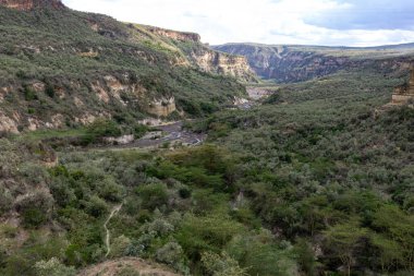 Kenya Fotoğrafçılar: Antony Trivet Fotoğrafçılık