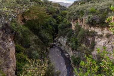 Kenya Fotoğrafçılar: Antony Trivet Fotoğrafçılık