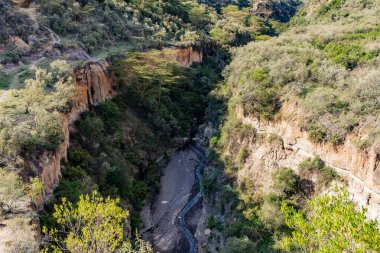 Kenya Fotoğrafçılar: Antony Trivet Fotoğrafçılık