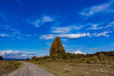 Mavi bulutlu gökyüzünün altında bir ağacın dikey görüntüsü.