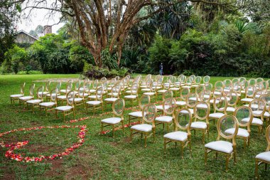 Sandalyeli düğün.