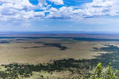 Savanadaki Afrika savanasının manzarası, Kenya