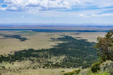 Afrika savanındaki mavi gökyüzü manzarası, Kenya