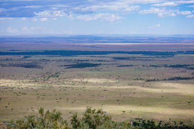 Afrika manzarası manzarası