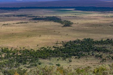 Kenya Masai Mara 'nın ulusal parkındaki manzara manzarası