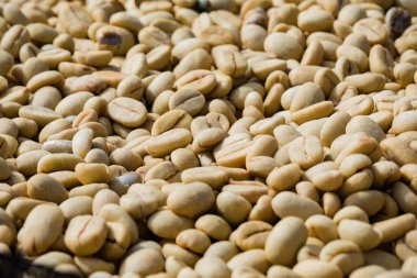 Kızarmış kahve çekirdekleri, kahve çekirdekleri.