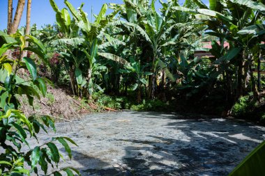 Parktaki güzel şelale.