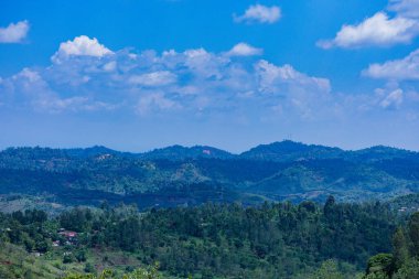 Kenya Fotoğrafçılar: Antony Trivet Fotoğrafçılık