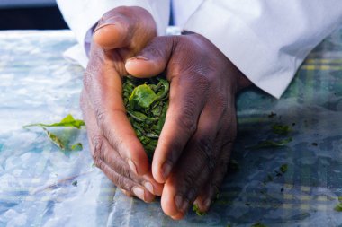 Kenya Fotoğrafçılar: Antony Trivet Fotoğrafçılık