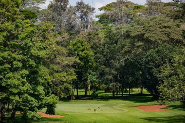 Parktaki golf sahası.