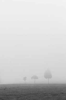 Doğanın güzel manzarası