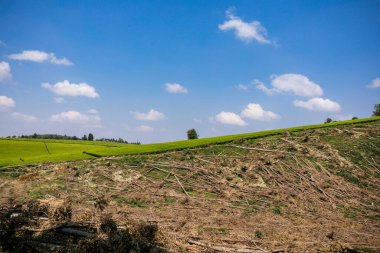 Mavi gökyüzü ve bulutlu yeşil alan
