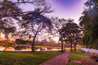 Nairobi Şehri Modern Yükselen Gökdelen Şehir Merkezi Kenya Başkenti Doğu Afrika