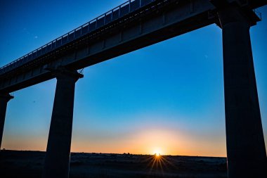 Nairobi Şehri Ulusal Parkı Vahşi Yaşam Manzarası Kenya Doğu Afrika