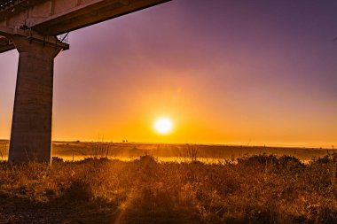 Nairobi Şehri Ulusal Parkı Vahşi Yaşam Manzarası Kenya Doğu Afrika