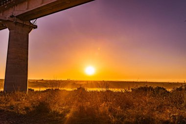 Nairobi Şehri Ulusal Parkı Vahşi Yaşam Manzarası Kenya Doğu Afrika