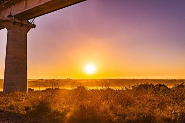Nairobi Şehri Ulusal Parkı Vahşi Yaşam Manzarası Kenya Doğu Afrika