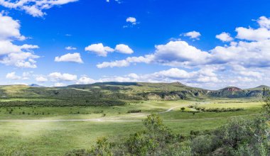 Güzel mavi gökyüzü ve ön planda beyaz otlar olan manzara..