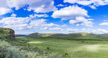 Ağacı ve bulutlu gökyüzü olan güzel bir manzara.