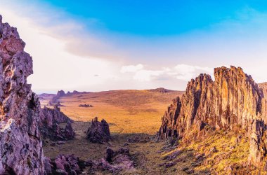 Arkasında dağlar olan güzel bir manzara.
