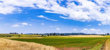 Malaso Dünya Bakış Açısı Samburu İlçesi Yazan Antony Trivet Kenya Fotoğraf Manzarası Belgeselini Geziyor