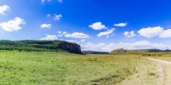 Bir çim tarlası ve bir dağ olan güzel bir manzara.