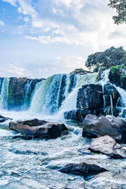 Ormanda güzel bir şelale