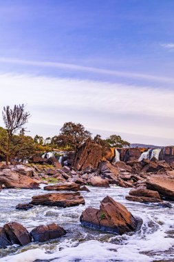 Ormanda güzel bir şelale