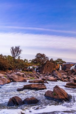 Kayalık bir sahilden akan bir nehrin dikey görüntüsü. Kayalık bir sahilde küçük bir ağaç var.