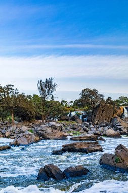 Ormanda güzel bir şelale görüntüsü.
