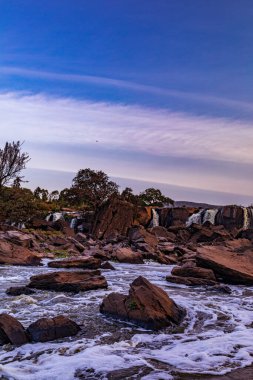 Ormandaki nehrin güzel manzarası