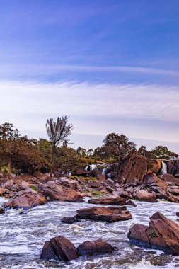 Denize yakın bir ormandaki nehrin dikey görüntüsü.