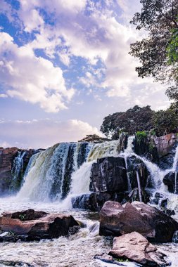 Ormanda güzel bir şelale
