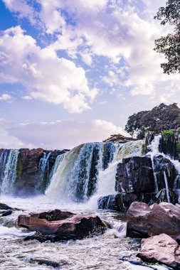 Ormanda güzel bir şelale