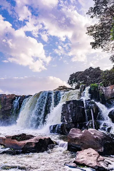 Ormanda güzel bir şelale