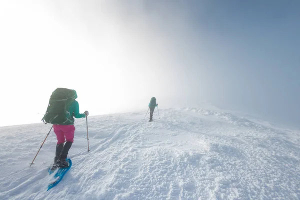 Two Girls Walk Mountain Path Snowshoes Walking Snow Hiking Mountains — ストック写真
