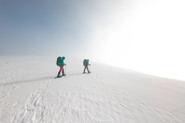 Two Women Winter Hike Girlfriends Trekking Sticks Snow Covered Mountain — Stock Photo, Image