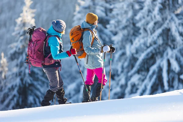 两个女人在雪地里走着过冬 两个女人在山里走着过冬 带着远足装备和雪鞋 — 图库照片