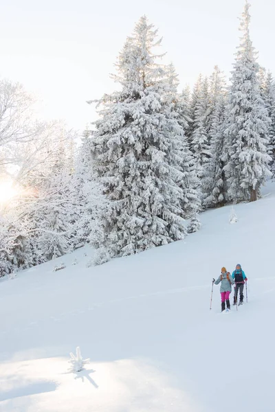 Two Women Backpacks Walk Snowshoes Snow Winter Trekking Two People — Foto Stock