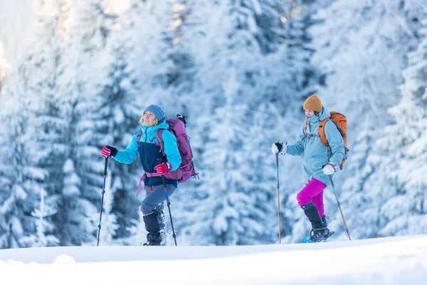 スノーシューで山をハイキングしています バックパックを持った2人の女の子が雪の中でハイキングに行く 旅行と冒険の概念 冬の山 — ストック写真