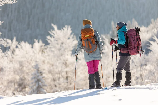 観光客は冬に山の中で一緒に旅行します 2人の女の子雪の山のキャップ スノーシューで山をハイキングし — ストック写真