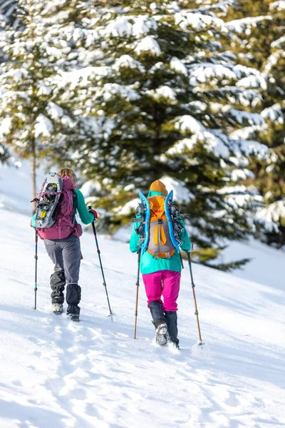 Viajantes Viajam Juntos Através Bela Natureza Inverno Duas Meninas Caminham — Fotografia de Stock