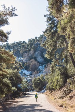 Sırt çantalı bir çocuk orman yolunda tek başına yürüyor, bir çocuk vahşi hayatı keşfediyor. Seyahat ve yürüyüş. Ormandaki çocuk.
