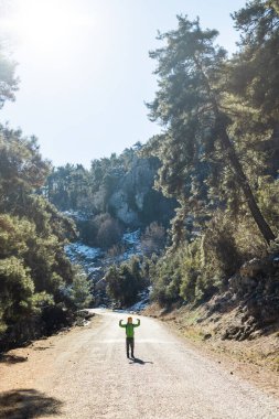 Sırt çantalı bir çocuk ellerini kaldırır ve bir orman yolunun ortasında sevinir, bir çocuk vahşi hayatı keşfeder. Seyahat ve yürüyüş..