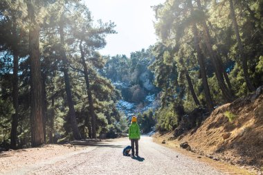 Orman yolunun ortasında sırt çantalı bir çocuk, vahşi hayatı keşfeden bir çocuk, ağaçların arasında tek başına duran bir çocuk, bir çocuğun portresi. Seyahat ve yürüyüş..