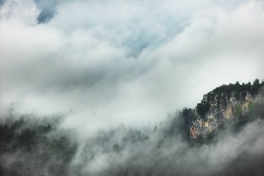 Dağ manzarası. Ormanın üzerinde yağmur bulutları. Türkiye.